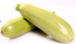 西胡芦瓜孕妇可以吃吗,孕妇饮食中的健康之选