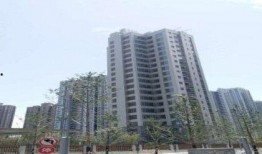 高尚领域吃瓜,揭秘吃瓜群众的趣味生活圈