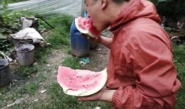 地摊吃瓜,揭秘街头美食的独特魅力