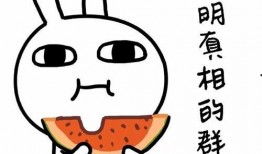 蛋仔旱獭吃瓜表情,蛋仔旱獭的吃瓜表情大揭秘