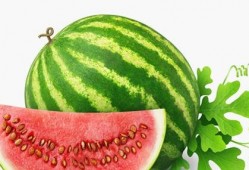 吃瓜卖瓜种瓜的故事原文