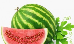 吃瓜卖瓜种瓜的故事原文