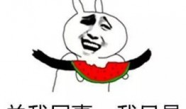 吃瓜不信瓜信瓜小傻瓜,网络迷思下的真实与虚幻