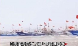 渔船吃瓜地图,探寻海洋中的甜蜜秘密