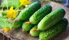 带你吃瓜20集,揭秘20集精彩剧情背后的秘密与真相