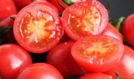 小瓜吃番茄了吗,吃了吗？