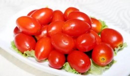 吃果瓜可以吃圣女果吗,吃果瓜时，圣女果也能共享美味