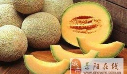 五常吃瓜,揭秘吃瓜群众的狂欢盛宴