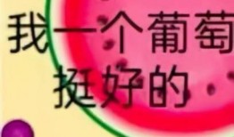 我们是吃瓜组合,揭秘娱乐圈幕后故事，带你领略明星们的真实生活