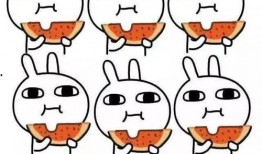 吃瓜群众驿站,网络舆论场中的“看客”力量