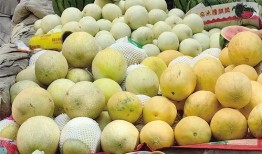 吃瓜摊位,揭秘吃瓜摊位的魅力所在