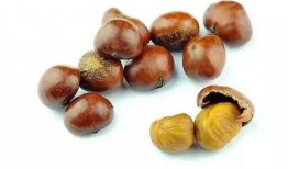 栗子吃星星瓜好吗,美味探索之旅