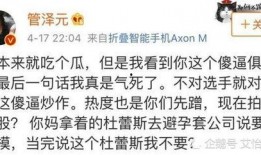 吃瓜群众带表,吃瓜群众视角下的娱乐圈风云录