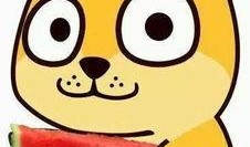 吃瓜群众阿柯,揭秘吃瓜群众的趣味生活