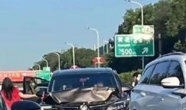 吃瓜汽运中心,揭秘汽运行业的“瓜田”奇观