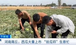 邢台吃瓜中毒新闻,夏日美食变惊魂，健康警示需重视