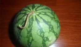 吃瓜了老黑,揭秘娱乐圈背后的秘密与真相