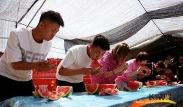 农村吃瓜照片高清,瓜田里的欢乐时光