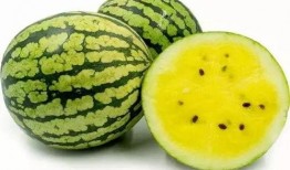 叶流西吃瓜,揭秘娱乐圈背后的秘密