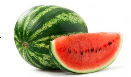 吃瓜的小巴尼,网络红人的崛起之路