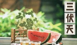 吃黄帝的瓜,探寻黄帝瓜的神秘传说与美食之旅