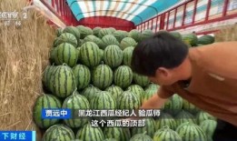 吃瓜网中,吃瓜网带你领略明星幕后故事