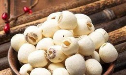 菲菲吃瓜广州,探寻美食与趣闻的广州风情