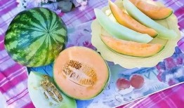 做肠胃镜可以吃哈密瓜吗,哈密瓜的食用指南