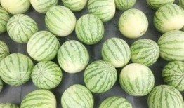 今日吃瓜大赏,盘点娱乐圈最新热点事件