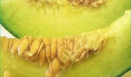 吃哈密瓜测怀孕