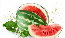 美食广场情侣吃瓜视频