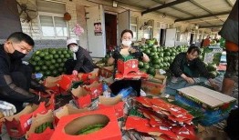 打仗吃瓜群众照片图片,记录战场上的平民视角