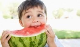 吃瓜小熊理工,揭秘科技圈那些事儿