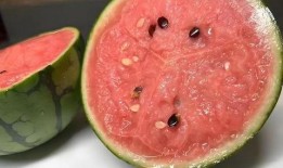 夏天吃瓜怎么挑瓜,轻松挑选夏日消暑佳品