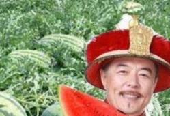 虎爷吃瓜,揭秘娱乐圈幕后风云