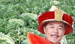 虎爷吃瓜,揭秘娱乐圈幕后风云