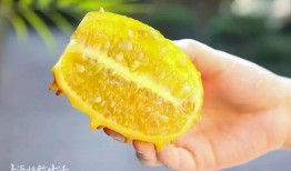 蛋黄吃瓜,一场味蕾的盛宴