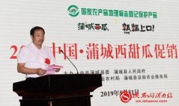 吃瓜协会张某某,揭秘网络红人的瓜田传奇