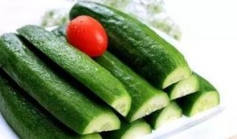 二中吃瓜,揭秘吃瓜群众的狂欢盛宴