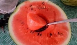 奇怪的吃瓜,揭秘那些令人捧腹的奇怪吃瓜事件