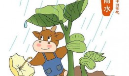 雨水吃瓜动漫,一场穿越次元的甜蜜邂逅