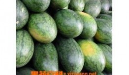 豆瓣吃瓜的美人,揭秘吃瓜美人的魅力与生活