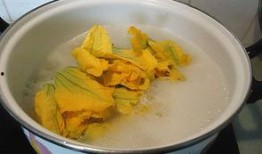 鱼翅瓜茎可以吃吗,可食用之谜探究