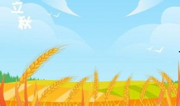 立秋吃瓜海报图片