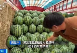 泗洪吃瓜,吃瓜也能吃出风味