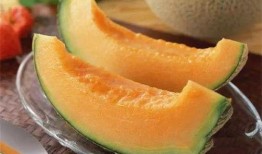 做肠胃镜可以吃哈密瓜吗,哈密瓜的食用指南