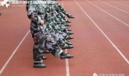 最新吃瓜军训视频,最新吃瓜视频揭秘青春风采