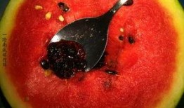 带你吃瓜奇葩生物,带你探索那些令人叹为观止的奇葩生物世界