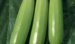 吃瓜不带皮,揭秘娱乐圈那些不为人知的幕后故事