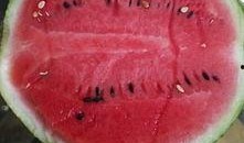 吃瓜合集6月,盘点娱乐圈热点事件大盘点